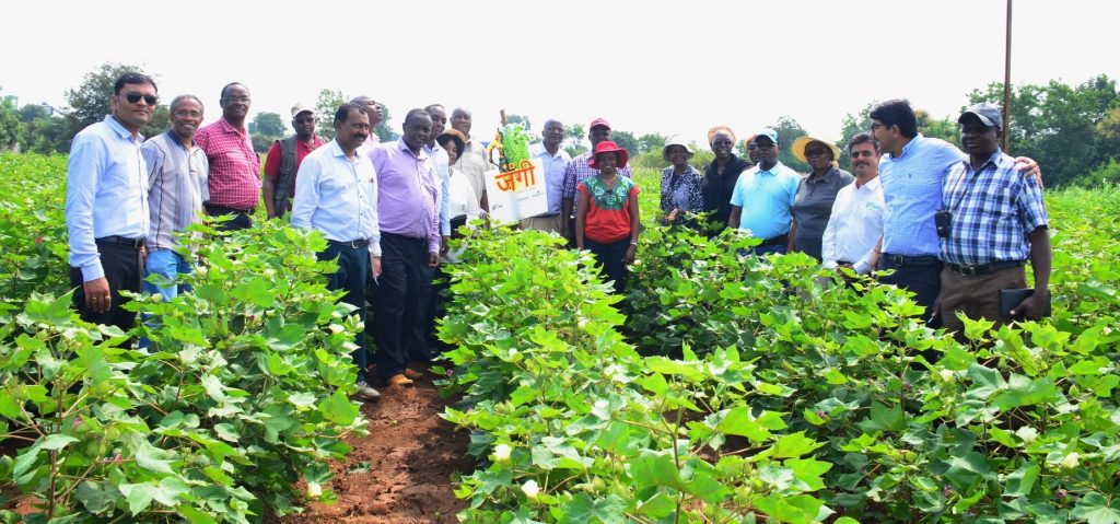 Kenyan Delegation in a Bt cotton field in Aurangabad, central India, during the study tour