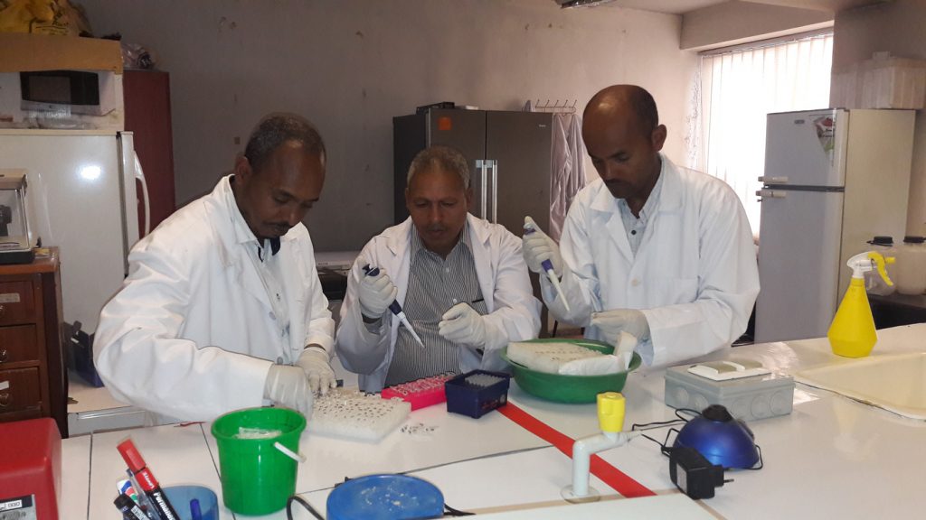 Prof. Tekle and his students in the lab