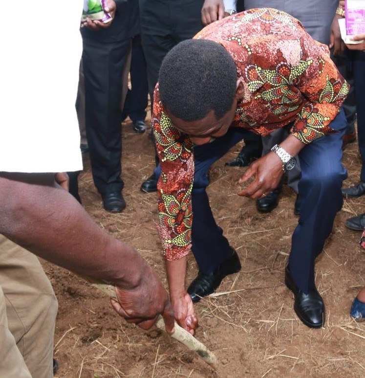 CS Munya planting the first Bt cotton seed outside of confinement in Busia County, western Kenya