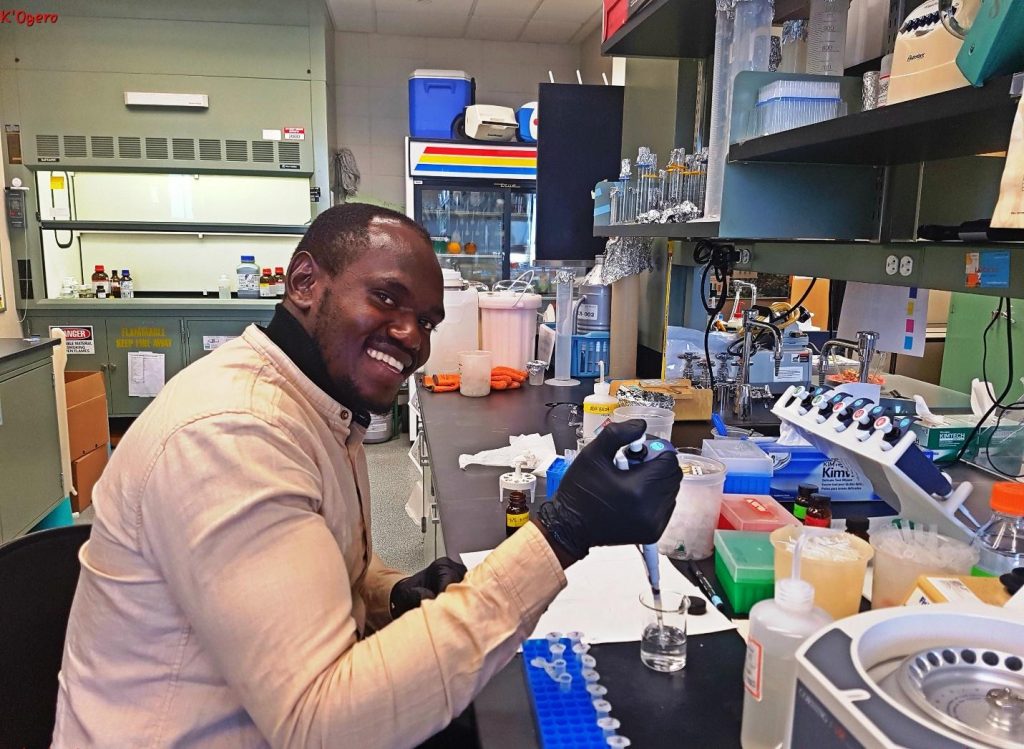 Kwame testing sweetpotato samples for viruses via PCR