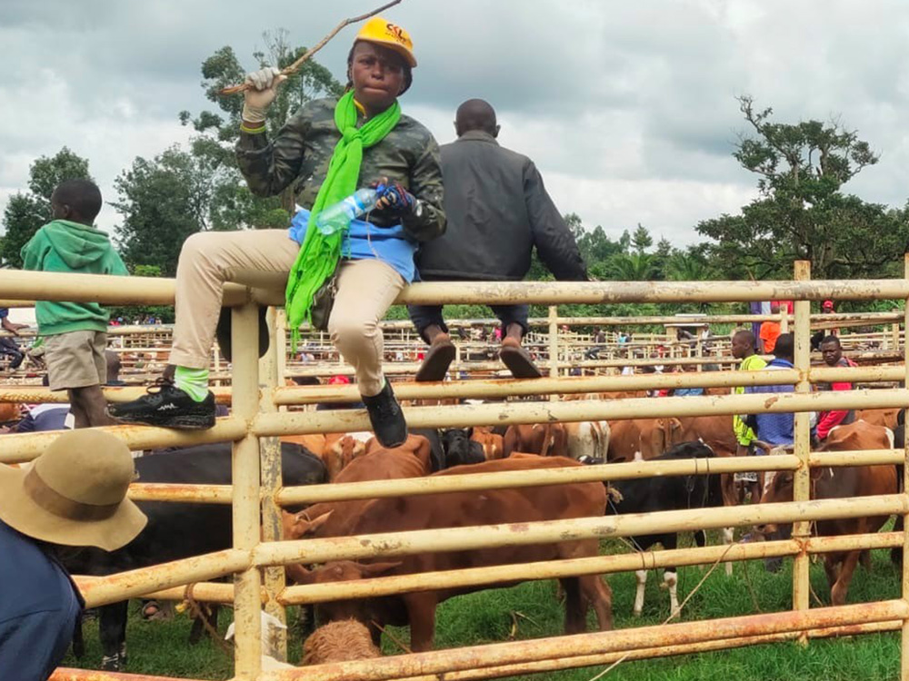 Farmers bring their livestock for veterinary service