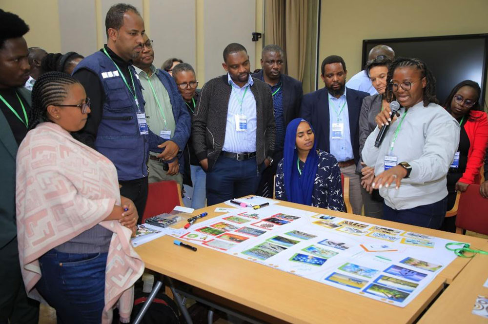 newsroom-02-site-thumb