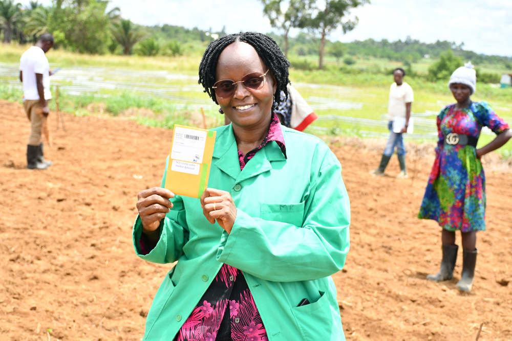  Dr. Margaret Karembu, Director ISAAA AfriCenter holding a parkect of gene edited sorghum seeds ready for planting for demonstration purposes in Western Kenya.