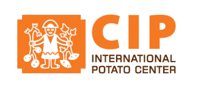 CIP
