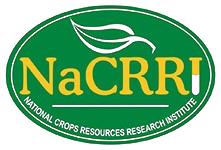 NaCRRI
