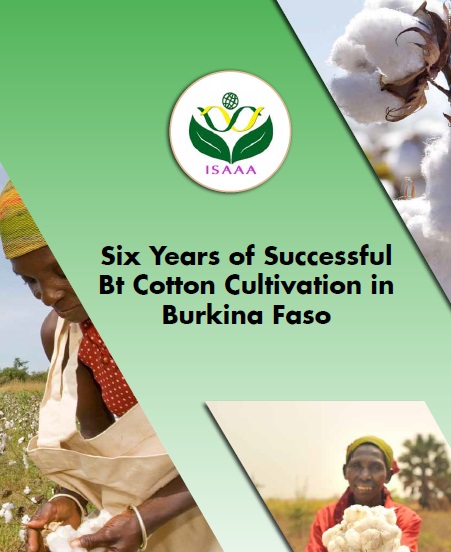 Six Years of Successful Bt Cotton Cultivation in Burkina Faso