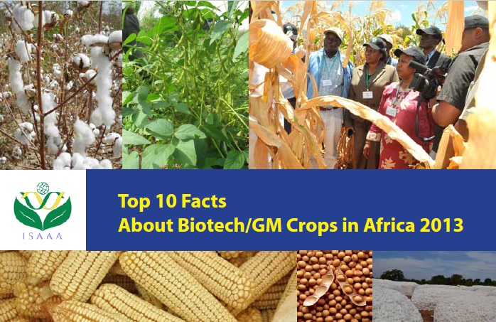 Top Ten Facts About Biotech/GM Crops in Africa 2013