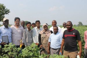 Young Bt Cotton Farmers Greet and Engage African Delegation