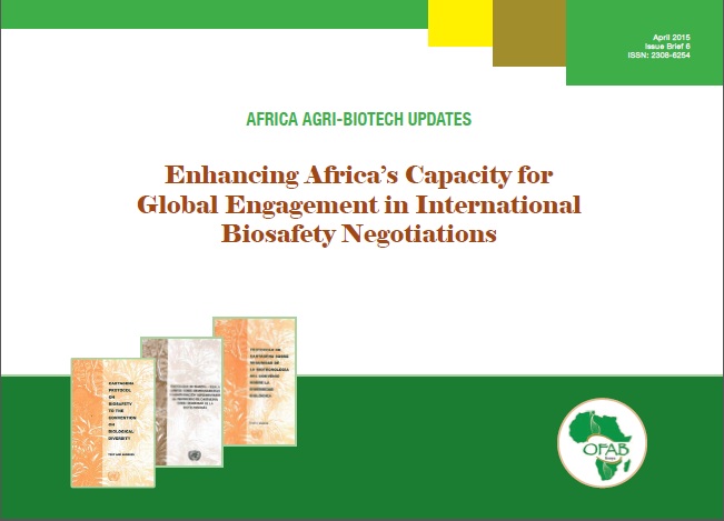 Enhancing Africa’s Capacity for Global Engagement in International Biosafety Negotiations