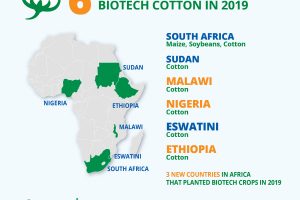 Africa Leads Progress in Biotech Adoption as Number of Adopting Countries Doubles – ISAAA Report