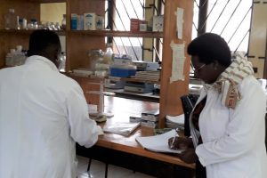 Malawi’s Genome Editing Guidelines key in promoting Supportive Environment for new Breeding Technologies