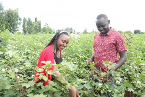 Tapping into the Potential of Young African Scientists to combat Misinformation on Agricultural Innovations