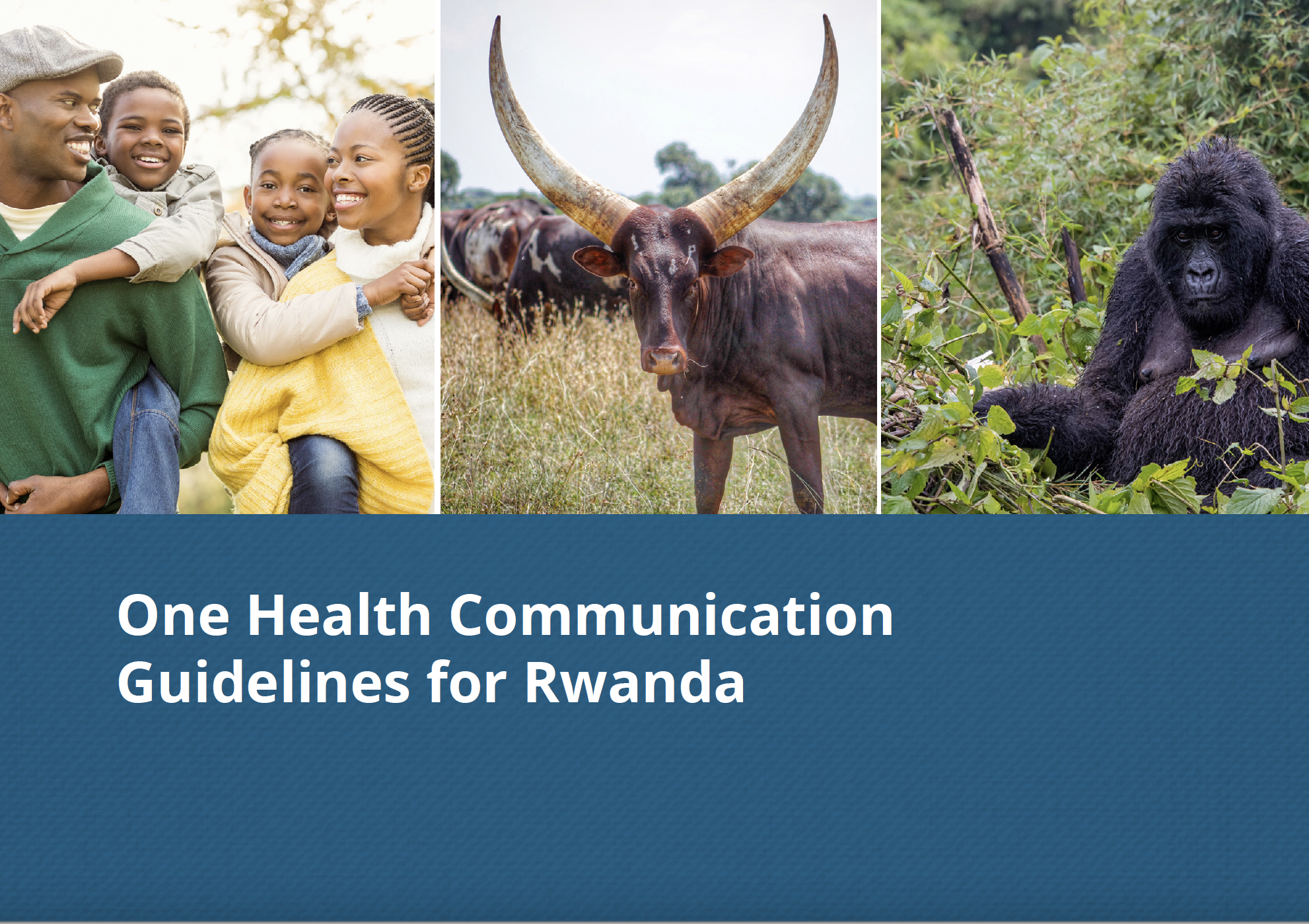One Health Communication Guidelines for Rwanda